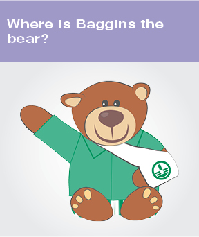 Where is Baggins the bear?
